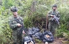 Ejército y Armada Nacional localizan depósito ilegal con abundantes explosivos, en Putumayo