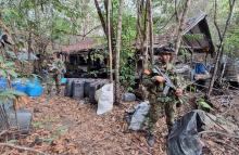 Más de 50 laboratorios para el procesamiento de pasta base de coca han sido destruidos por el Ejército Nacional en Córdoba y Antioquia durante el 2025