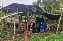 Millonario golpe al narcotráfico: Ejército desmantela 28 laboratorios de cocaína de las disidencias en el Pacífico nariñense.