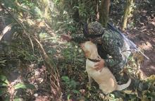Ejército Nacional asesta contundente golpe al Bloque 'Jorge Suárez Briceño', con la destrucción de 59 artefactos explosivos en Puerto Rico, Caquetá