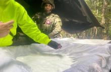 Ejército Nacional incauta más de media tonelada de cocaína en el Catatumbo y afecta las economías ilícitas del ELN
