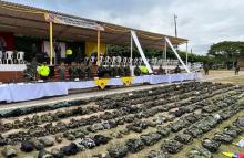 Afectaciones a economías ilícitas y protección de menores: balance de las operaciones militares en el nororiente colombiano