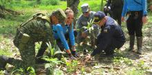 Jornada de reforestación fortalece la biodiversidad en Puerto Nariño, Amazonas