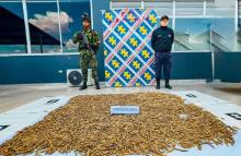 Tropas de la Séptima Brigada del Ejército Nacional incautan más de 11.000 municiones al Clan del Golfo