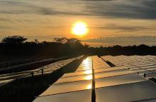 Energía solar impulsará la eficiencia y sostenibilidad de Marandúa