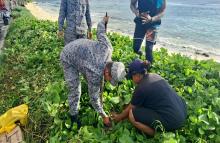 Siembra y limpieza ambiental en apoyo al archipiélago