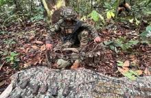 Ejército Nacional asesta contundente golpe a los comandos de frontera en la Amazonía