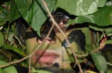 Haz parte del Ejército Nacional como soldado profesional en el curso N.° 82