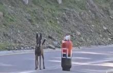 Neutralizada acción terrorista en la vía Cúcuta-Pamplona, Norte de Santander