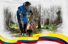 Canes detectores de minas siguen salvando vidas en Colombia