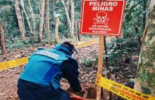 74 municipios y/o zonas están siendo intervenidas con el desminado humanitario del Ejército Nacional