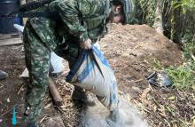 Fuerzas Militares presentan balance de contundencia operacional en la última semana