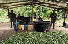 Ejército Nacional continúa afectando las economías ilícitas de las estructuras ilegales en el Putumayo
