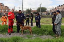 Caninos militares fortalecen capacidades de búsqueda y rescate mediante cooperación técnica internacional