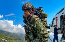 En el primer mes del año, Fuerzas Militares propinan golpes estratégicos a economías ilícitas y logran la neutralización de cabecillas
