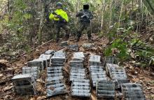 Ejército Nacional evitó la comercialización de más de un millón de dosis de cocaína en los Estados Unidos
