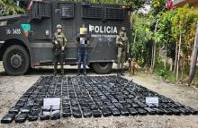 Golpe al narcotráfico en el Cauca: más de una tonelada de droga incautada a los grupos terroristas de la región