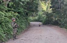 Ejército Nacional ubicó y neutralizó un cilindro con explosivos en zona rural de Rioblanco, Tolima