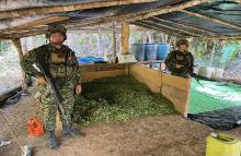 Ejército destruyó un laboratorio