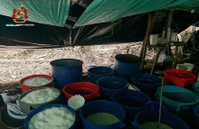 Ejército Nacional logra contundente golpe al narcotráfico en Boyacá
