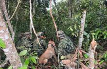 Ejército Nacional de Colombia desactiva munición