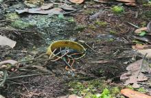 Ejército Nacional ubica y destruye 8 artefactos explosivo