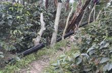 Tropas del Ejército Nacional frustraron acción terrorista del grupo ilegal ELN en San Calixto, Norte de Santander