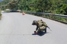 Ejército Nacional neutraliza acciones terroristas en Nariño