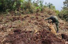Ejército Nacional frustró posible acción terrorista al ubicar 30 explosivos en El Tambo, Cauca