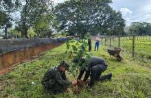 Ejército Nacional lidera jornada de siembra de 3.000 plántulas en Guaviare