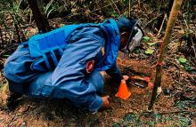 Ejército Nacional destruyó cinco artefactos explosivos en el Meta y continúa salvando vidas mediante el desminado humanitario