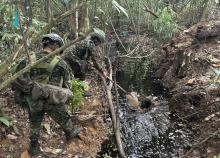 Ejército Nacional afectó economías ilícitas del ELN en más de 2.800 millones de pesos en el Catatumbo