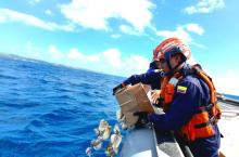 Armada de Colombia y Coralina fortalecen la recuperación de los ecosistemas marinos del Archipiélago