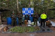   Fuerzas Militares desmantelan cinco laboratorios de narcotráfico que financiaban al frente 44 en Vichada