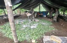Hallados por el Ejército Nacional 14 complejos cocaleros en el Pacífico y Caribe colombiano
