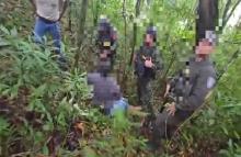 En vías del Cauca, Ejército Nacional rescató a conductor y recuperó vehículo cargado con café de exportación: cuatro capturados tras operación contra el secuestro