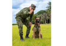 Rex y su guía, un binomio que protege vidas al servicio del Guaviare