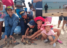 cogfm-arc-medio-ambiente-liberacion-tortugas-cartagena-25.gif