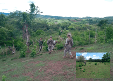 cogfm-arc-restitucion-tierras-sucre-02.gif