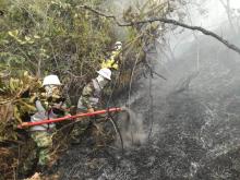 cogfm-controlado-incendio-forestal-santander.jpg