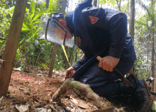 cogfm-ejc-desminado-humanitario-putumayo-13.gif