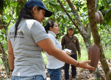 cogfm-ejc-fe-en-colombia-asesoria-productores-catatumbo-26.gif