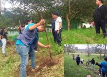 cogfm-ejc-fe-en-colombia-medio-ambiente-tolima-siembra-arboles-26_0.gif