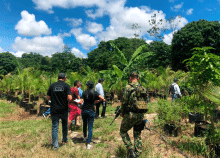 cogfm-ejc-gaula-meta-extincion-dominio-17.gif