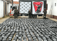 cogfm-ejc-incautacion-marihuana-caloto-cauca-24.gif