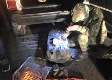 cogfm-ejc-isnos-huila-operaciones-contra-narcotrafico-03.jpg