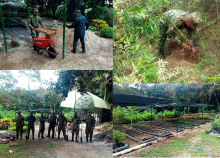 cogfm-ejc-medio-ambiente-artemisa-huila-04_0.gif