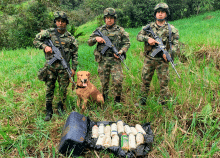 cogfm-ejc-neutralizacion-explosivos-ricaurte-narino-04.gif