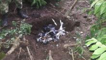 cogfm-ejc-neutralizacion-explosivos_en_drones-tumaco-19.jpg