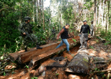 cogfm-ejc-operacion-artemisa-mineria-ilegal-meta-08.gif